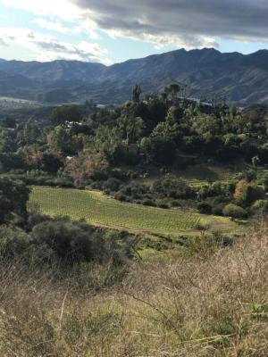 加州欧海出售葡萄园